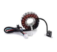 Magnetos Generator Stators Coil 3409-026 Ensemble de stators pour DVX400 DVX 400 2004 2006-2008 Modèle bobine de stator alternateur