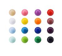 Magnetpro Aimants Muliticolor Aimant Réfrigérateur Mignon, Résine Décorative Amusante pour Bureau, Calendriers, Tableaux Blancs, Cartes (16 pièces)