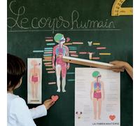 Magnets le corps humain