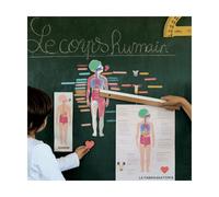 Magnets le corps humain