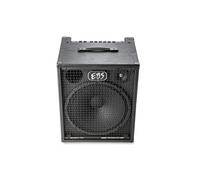 EBS Magni 502 15'' 500W Combos basse