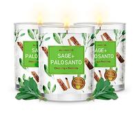MAGNIFICENT 101 Pure Sage + Palo Santo Smudge Lot de 3 Bougies pour Le Nettoyage de l'énergie de la Maison, bannir l'énergie négative I Purification et guérison des Chakras