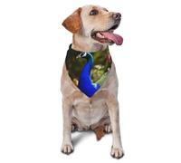 Magnifique bandana pour chien en forme de paon - Écharpe triangulaire pour animaux de compagnie, convient pour les chiens et chats de petite et moyenne taille