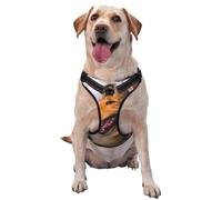 Magnifique Colley à Poil Long,Harnais pour Animaux de Compagnie, Harnais réfléchissant réglable pour Chien,M