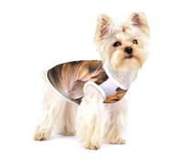 Magnifique Colley à Poil Long,T-Shirt sans Manches en Coton pour Animaux de Compagnie, Gilet Respirant, Extensible et Doux,L