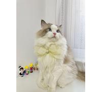 Magnifique collier de perles pour homme, collier réglable avec nœud papillon, collier de beauté pour femme, chat et chien, accessoires de vêtements pour fille (nœud papillon en organza blanc, M (25-30