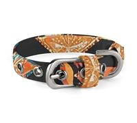 Magnifique collier pour chien avec étoiles et lune - Réglable - Doux et confortable - Avec boucle en métal - Pour animaux de compagnie de petite et moyenne taille