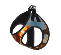 Magnifique ensemble de harnais réfléchissant réglable pour chats, chiens et petits animaux de compagnie, gilet de marche en maille douce et respirante avec laisse anti-évasion