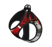 Magnifique harnais et laisse pour chats et chiens, réfléchissant, réglable, en maille respirante avec laisse anti-fuite, pour petits animaux de compagnie et chatons chiots