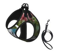 Magnifique harnais pour chien avec laisse et gilet rembourré épais pour chiens de taille XS à M