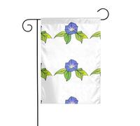 Magnifique image de gloire du matin, drapeau de jardin, décoration de cour, 12x18 pouces pour balcon de terrasse de jardin