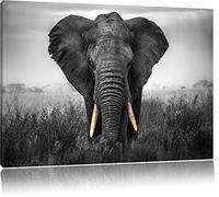 magnifique noir de l'éléphant / blanc Taille: 60x40 sur toile, énorme XXL Photos complètement encadrée avec civière, art impression sur murale avec cadre, moins cher que la peinture ou la peinture à l'huile, aucune affiche ou un poster