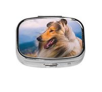 Magnifique pilulier à 2 compartiments pour collie rugueux, organiseur portable