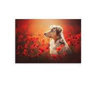 Magnifique poster de berger australien dans un champ de coquelicots rouges, décoration d'intérieur, décoration d'intérieur, décoration d'intérieur, salon, chambre à coucher, sans cadre, 50 x 75 cm