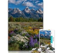 Magnifique Puzzle de 1000 pièces représentant Une rivière de Montagne pour Adolescents et Adultes, Anti-Stress, Difficile, décoration d'intérieur et Cadeaux Uniques 38x26cm