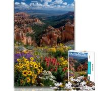 Magnifique Puzzle de 1000 pièces représentant Une rivière de Montagne pour Adultes et Adolescents, Un défi Stimulant et Anti-Stress, idéal comme Cadeau pour Toute la Famille (50x75cm)