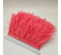 Magnifique ruban à franges en plumes d'autruche de 10 mètres de long, largeur 10-15 cm, pour couture, artisanat, costumes, décoration - Sang - 10 mètres