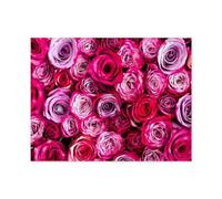 Magnifiques Fleurs de Roses Roses，1000 Pièces, Jouet De Puzzle en Bois d'art Abstrait, Jeu De Famille Difficulté Défi Puzzle（75x50cm）-Q49