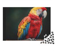 Magnifiques Puzzles perroquets Moyennement Difficiles Idéal pour Une Exposition décorative Parfait pour Passer Le Temps 500 pièces (52 x 38 cm)