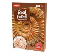 Magnoidz Kit de fouille Fossil