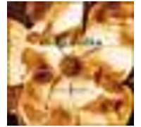 Aimee Mann - Magnolia