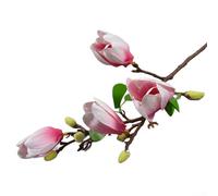 Magnolia artificiel à branche unique et fleur d'orchidée pour décoration de mariage, bureau et salon, en soie et plastique (rose)