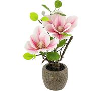 Magnolia artificiel en pot de 33 cm comme de vraies fleurs artificielles décoration plante d'intérieur petit cadeau fleurs de magnolia fleurs de printemps feuilles plante artificielle décoration