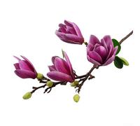 Magnolia artificiel et branche d'orchidée avec quatre têtes de fleurs, conçues pour une utilisation décorative dans les mariages, les salons et les bureaux (violet foncé)