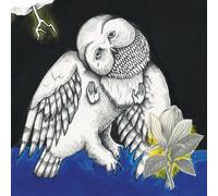Magnolia electric co 10 year Vinyle