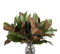 Magnolia Faux Branches - Two Pieces Artificial Greenery Stems, Realistic Magnolia Leaves for Decoration, Vase Filler | Lifelike Plant Spray, Christmas Home Decor Office Table Centerpiece Indoor