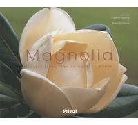 Magnolia - L'arbre Fleur Venu Du Nouveau Monde