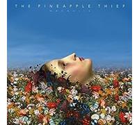 The Pineapple Thief – Magnolia – Vinyle noir – Kscope
