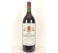 magnum 150 cl listrac château cap léon veyrin cru bourgeois rouge 1989 - bordeaux