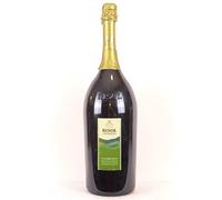 magnum 150 cl prosecco superiore bisol valdobbiadene pétillant 2010 - vénitie Italie