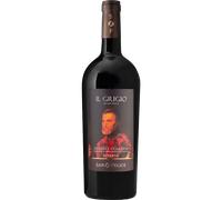 Magnum - Chianti Classico Riserva Il Grigio 2022 - San Felice
