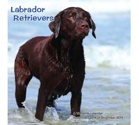 Magnum Labrador Retrievers Calendrier mural mural 2015 Motif chien