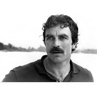 Magnum P.I. (TV) Tom Selleck Photo 25,4 x 20,3 cm