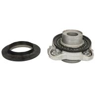 Magnum Technology A7F055 Coupelle de suspension pour CITROËN,FIAT,PEUGEOT