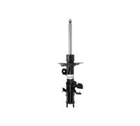 Magnum Technology AGG207MT Amortisseur pour FORD