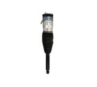 Magnum Technology APQ002MT Armortisseur pneumatique pour TESLA