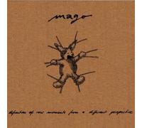 Mago - Definition of Raw Moments from a Different Perspec