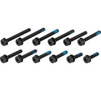 Magura Set de Vis Flatmount noir universal