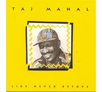 Mahal, Taj - Like Never Before
