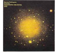 Mahavishnu Orchestra - Between Nothing and Eternity