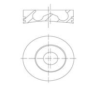 MAHLE 100 01 00 Piston