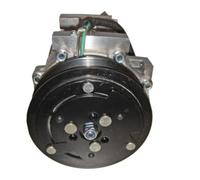 Mahle ACP 1024 000S Compresseur Climatisation Pour Fiat Peugeot Citroën Lancia