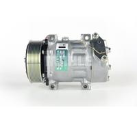 MAHLE ACP 117 000P Compresseur de clim