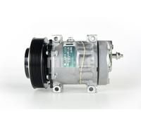 MAHLE ACP 165 000P Compresseur de climatisation