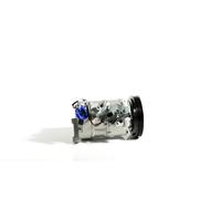 MAHLE ACP 1677 000S Compresseur de clim
