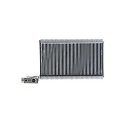 MAHLE AE 109 000P Évaporateur de climatisation